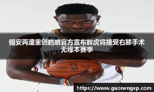 锡安再遭重创鹈鹕官方宣布胖虎将接受右膝手术无缘本赛季